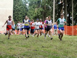 Westerzgebirgscup 2008