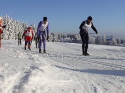 Grenzlauf 2010