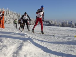 Grenzlauf 2010