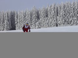 Grenzlauf 2010