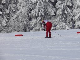 Grenzlauf 2010