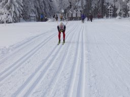 Grenzlauf 2010