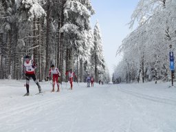 Grenzlauf 2010