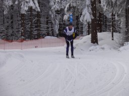 Grenzlauf 2010