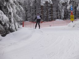 Grenzlauf 2010