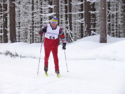 Grenzlauf 2010