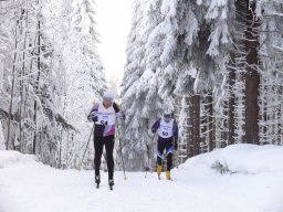 Grenzlauf 2010