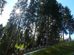 Sachsencup 2013