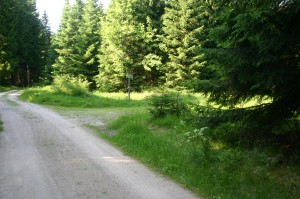 k7 kreuzung auf kamm1